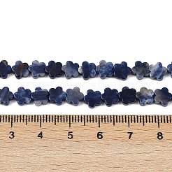 Natur Sodalith Perlen Stränge&nbsp;G-B138-C12-01