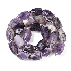 Natürlichen Amethyst Perlen Stränge&nbsp;G-G182-D03-01