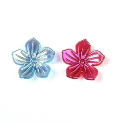 Capuchon de perles acryliques à placage uv&nbsp;OACR-B025-01B