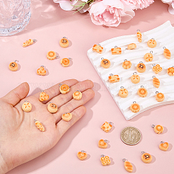 50pcs pendentifs en résine opaque&nbsp;RESI-DC0001-62