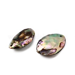 Natur Paua Muschel Anhänger&nbsp;SSHEL-S280-01A