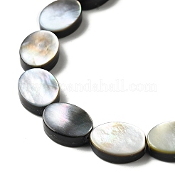 Naturel noir à lèvres shell perles brins&nbsp;BSHE-D300-02-10x14mm