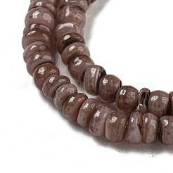 Chapelets de perles de coquille d'eau douce naturelle teinte&nbsp;BSHE-G039-07I