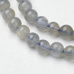 Perline labradorite naturale fili&nbsp;G-F362-08-5mm