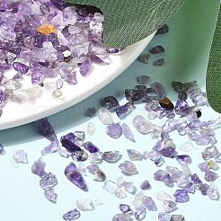 Natürlichen Amethyst Chip-Perlen&nbsp;X-G-L453-06