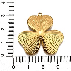Ciondoli in acciaio inox 304&nbsp;STAS-M116-34G