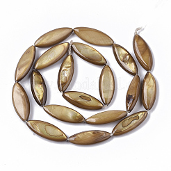 Shell perle d'acqua dolce fili&nbsp;SHEL-T014-007A