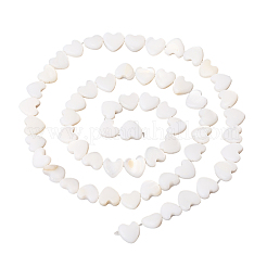 3 Strang natürliche Süßwasser-Muschelperlen&nbsp;SHEL-LT0001-02