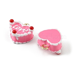 Pendentifs d'émail en alliage&nbsp;FIND-H024-05G