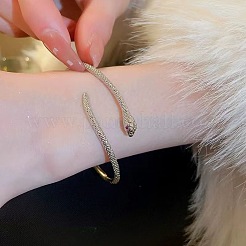 Armreifen aus Legierung für Damen&nbsp;FS-WGE8895-01