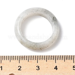 Anneaux de bande simples en labradorite naturelle&nbsp;PW-WG25917-07