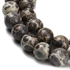 Brins de perles de jaspe astroite naturel&nbsp;G-F814-A01-10mm