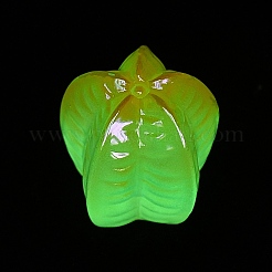 Leuchtendes Fruchtharz-Dekor&nbsp;CRES-CJC0009-14O