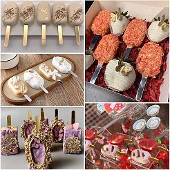 Wiederverwendbare Acryl-Cakesicle-Sticks&nbsp;DIY-PH0027-95
