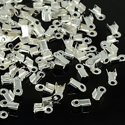 Eisenklapp Crimp-Enden&nbsp;E033Y-S-01
