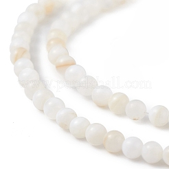 125 Stück natürliche Süßwasser-Muschelperlen&nbsp;LS-SHEL-B002-01F