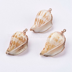 Pendentifs coquille spirale électrolytique&nbsp;BSHE-L036-43