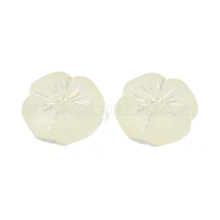 Perles en acrylique transparent mat&nbsp;X1-OACR-P029-19B-03