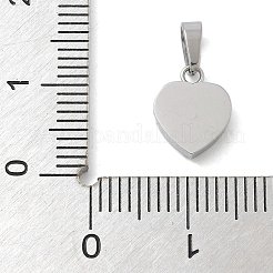 Pendentifs en acier inoxydable 304 avec micro-pavé de zircone cubique et placage ionique (IP)&nbsp;STAS-Z107-02P-04