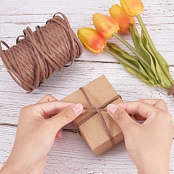Papier Schnüre für DIY Schmuckherstellung&nbsp;OCOR-WH0032-52
