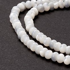 Fili di perle di conchiglia trochid naturale / trochus&nbsp;X-SSHEL-O001-24B-02