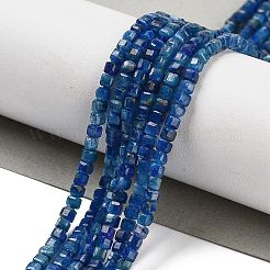 Natürliche kyanite Perlen Stränge&nbsp;G-H042-B27-01