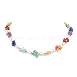 Chakra-Thema natürlicher roter Aventurin & roter Jaspis & grüner Aventurin & Aquamarin & Citrin & Lapislazuli & Amethyst&nbsp;NJEW-JN05086