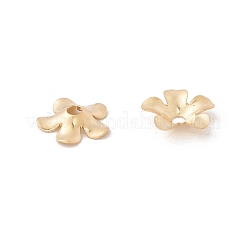 Perlenkappen aus Edelstahl 304&nbsp;STAS-P307-11G