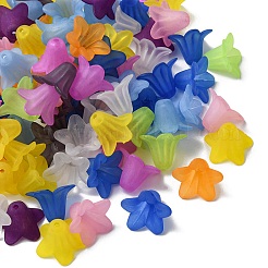 Transparente Acryl Perlen&nbsp;FIND-YW0001-68