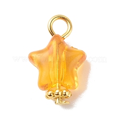 Colgantes de acrílico transparentes&nbsp;PALLOY-JF01834-03
