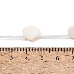 Natürlichen Süßwasser-Muschelperlen Stränge&nbsp;SHEL-B005-05