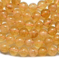 Natürliche Malaysia Jade Perlen Stränge&nbsp;G-L645-C01-8mm-15
