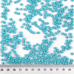 Perles de rocaille en verre&nbsp;SEED-S003-K10