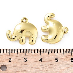 Pendentifs en acier inoxydable 304&nbsp;STAS-F304-02G-06