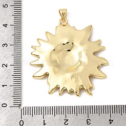 Messing Anhänger & Charms&nbsp;KK-H267-045-G
