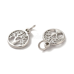 Charms in ottone&nbsp;KK-Q403-01P