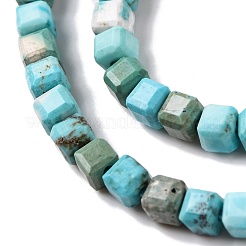 Chapelets de perles en howlite naturelle&nbsp;G-G001-A03-06