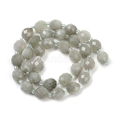 Natürliche Malaysia Jade Perlen Stränge&nbsp;G-D305-A01-01D