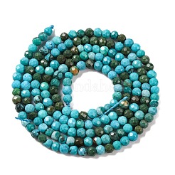 Fili di perline di howlite naturale&nbsp;G-C025-02A-04