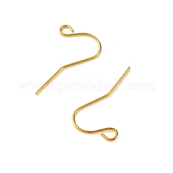 Ganci orecchino di Ferro&nbsp;RN-CBA973B-10B-G