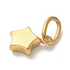 Anhänger aus 304 Edelstahl&nbsp;STAS-G352-16G