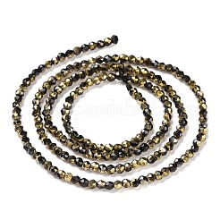 Chapelets de perles en verre électroplaqué&nbsp;GLAA-H021-01A-HP04