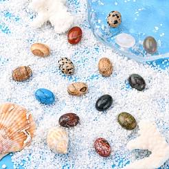 Cabochons en pierres gemmes&nbsp;G-H1596-30x22x5mm-M