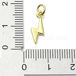 Messing Anhänger & Charms&nbsp;KK-H475-34G-02