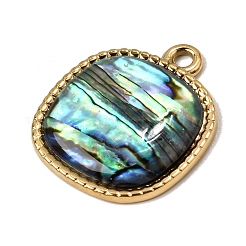 Pendentifs en acier inoxydable 304 et nacre d'ormeau naturelle&nbsp;SH-CBA7184-01A-G