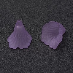 Transparentes bouchons acrylique de perles&nbsp;X-PL551-C08