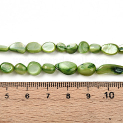 Cuentas de concha naturales blancos mechones&nbsp;SHEL-N036-21D