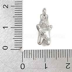 Messing Anhänger & Charms&nbsp;KK-CBA0565-03P