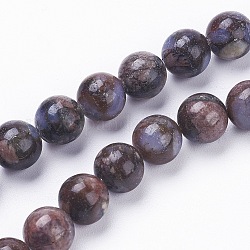 Fili di perline di glaucofane naturali, tondo, sella marrone, 10mm, Foro: 1 mm, circa 38pcs/filo, 15.3 pollice (39 cm)