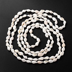 Marinas naturales hebras de perlas concha concha, 5.5~12.5mm, agujero: 1~2 mm, aproximamente 135~145 pcs / cadena, 54~58.3 pulgada